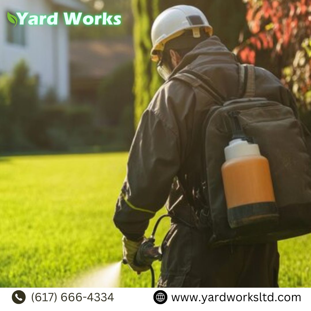 Transform Your Outdoors With Professional Landscaping Services